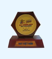 Năm 2009, Lần thứ 3 nhận Danh hiệu Huy chương Vàng ICT
