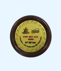 Năm 2010 vinh dự được trao tặng danh hiệu TOP ICT VN