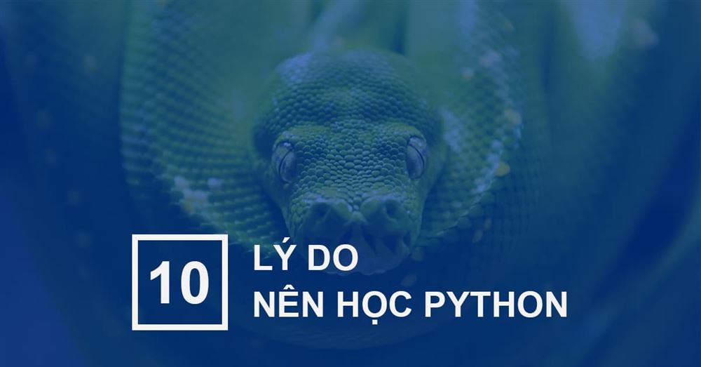 Top 10 Lý do nên học Python trong năm 2022