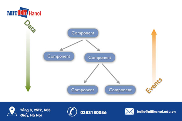 ReactJS: Ngôn ngữ lập trình thích hợp cho lập trình viên mới 