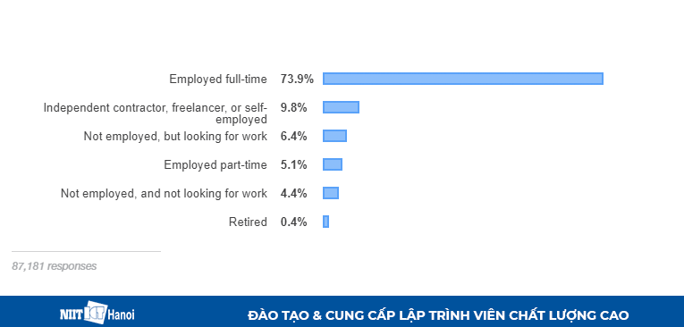 Tình trạng công việc, nghề nghiệp của Lập trình viên