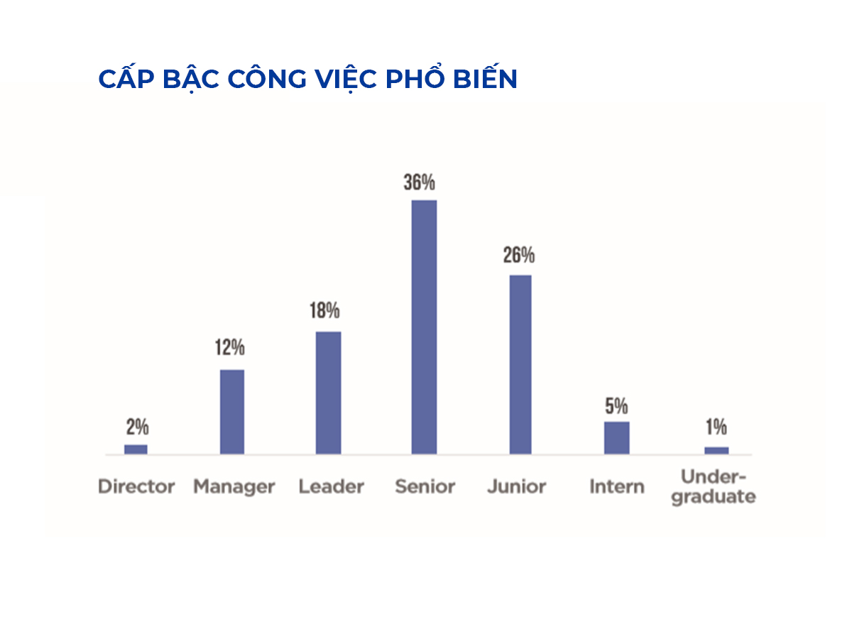 Các cấp bậc phổ biến trong ngành công nghệ thông tin