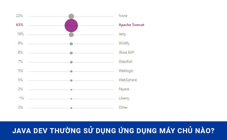 Máy chủ Apache Tomcat được Java Dev sử dụng nhiều nhất