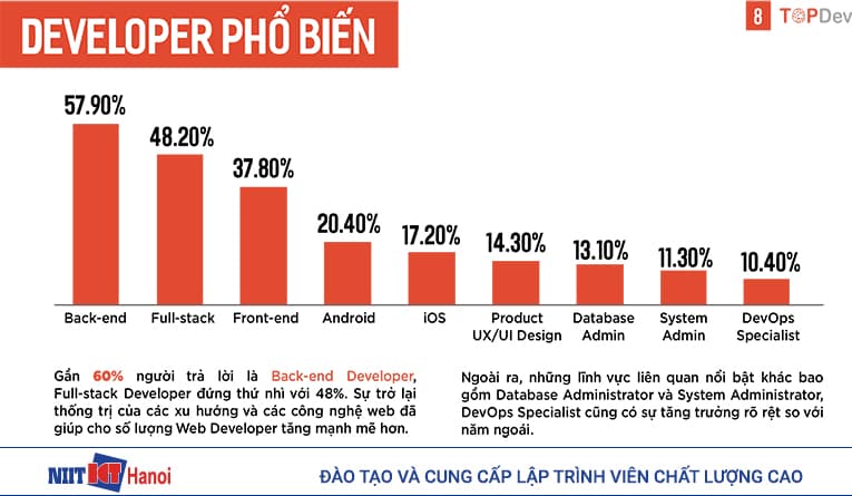 Lập trình viên làm các công việc gì