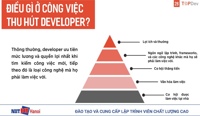 Lập trình viên bị thu hút điều gì ở công việc mới
