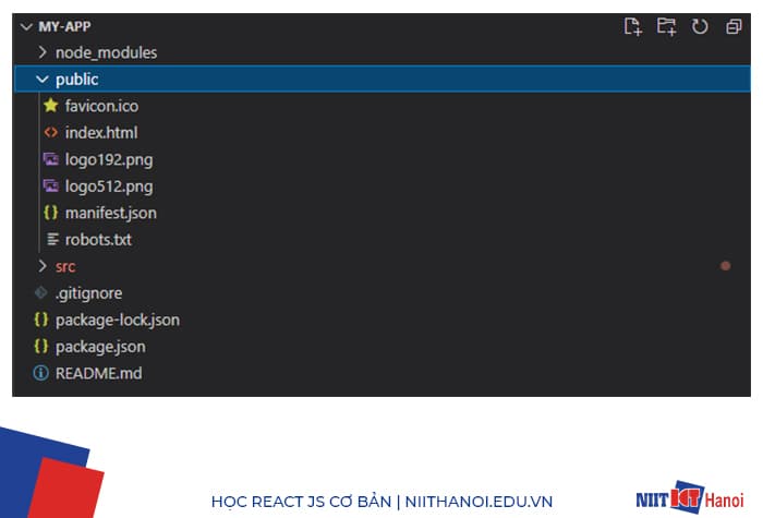 Cấu trúc thư mục dự án React - Thư mục public