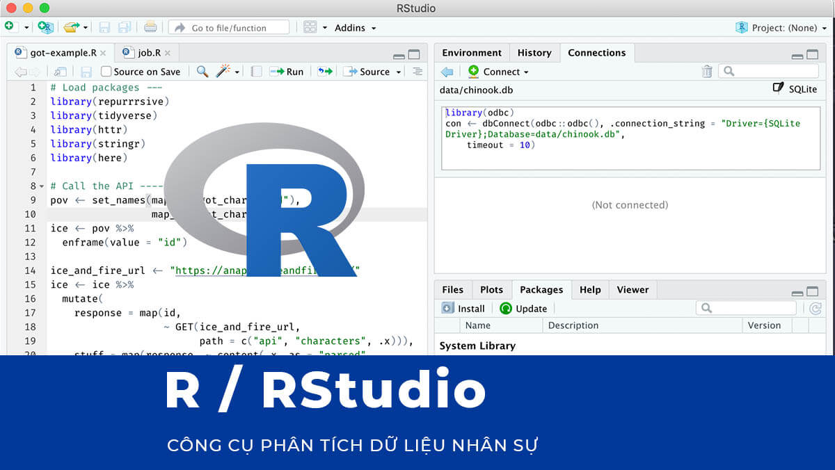 CÔNG CỤ PHÂN TÍCH DỮ LIỆU NHÂN SỰ: R