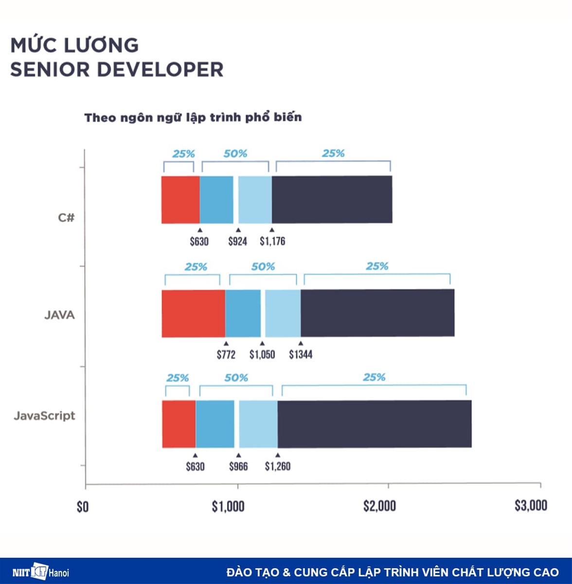Mức lương của Senior Developer theo ngôn ngữ lập trình phổ biến