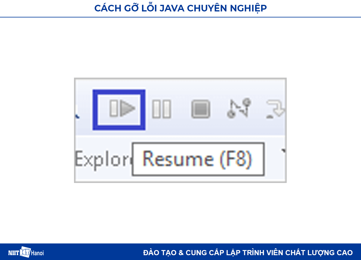 Tùy chọn hỗ trợ gỡ lỗi Java F8