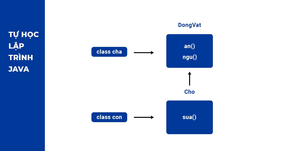 Ảnh minh họa kế thừa trong Java