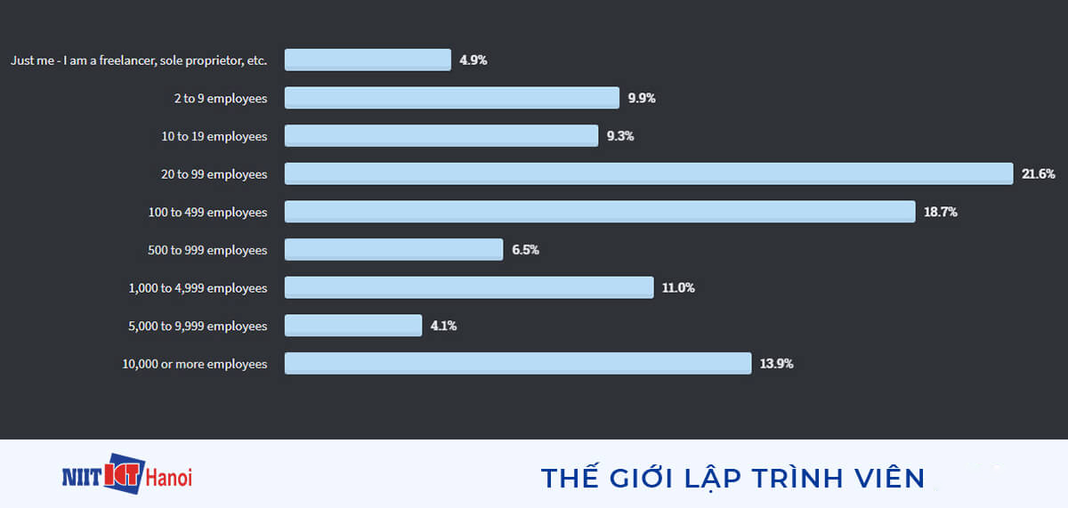 Quy mô công ty mà các lập trình viên tham gia khảo sát đang làm việc