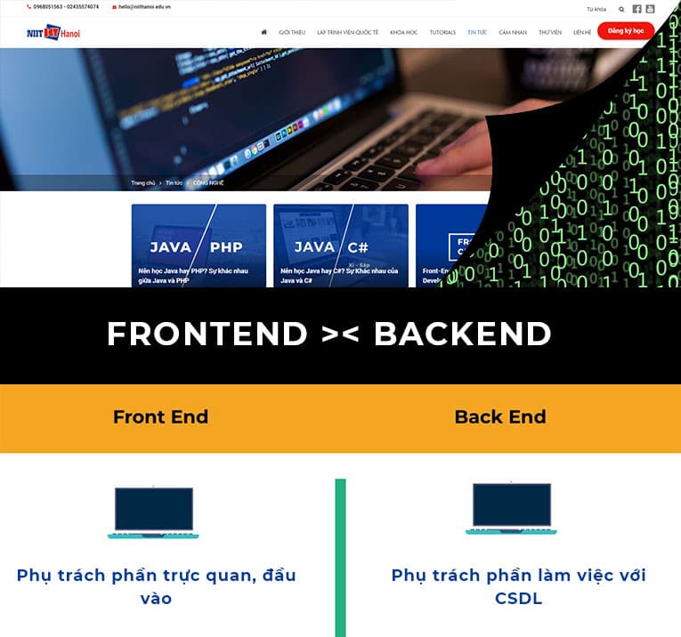 Infographics; So sánh Công việc Frontend với Backend (Ảnh 1)