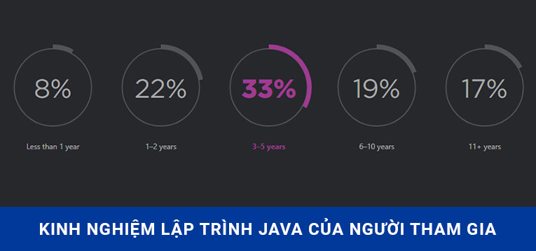 Kinh nghiệm lập trình Java của những người tham gia khảo sát