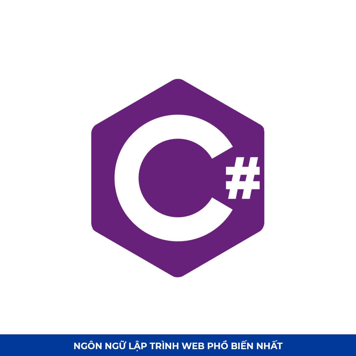 Top Ngôn ngữ lập trình web #5: C#