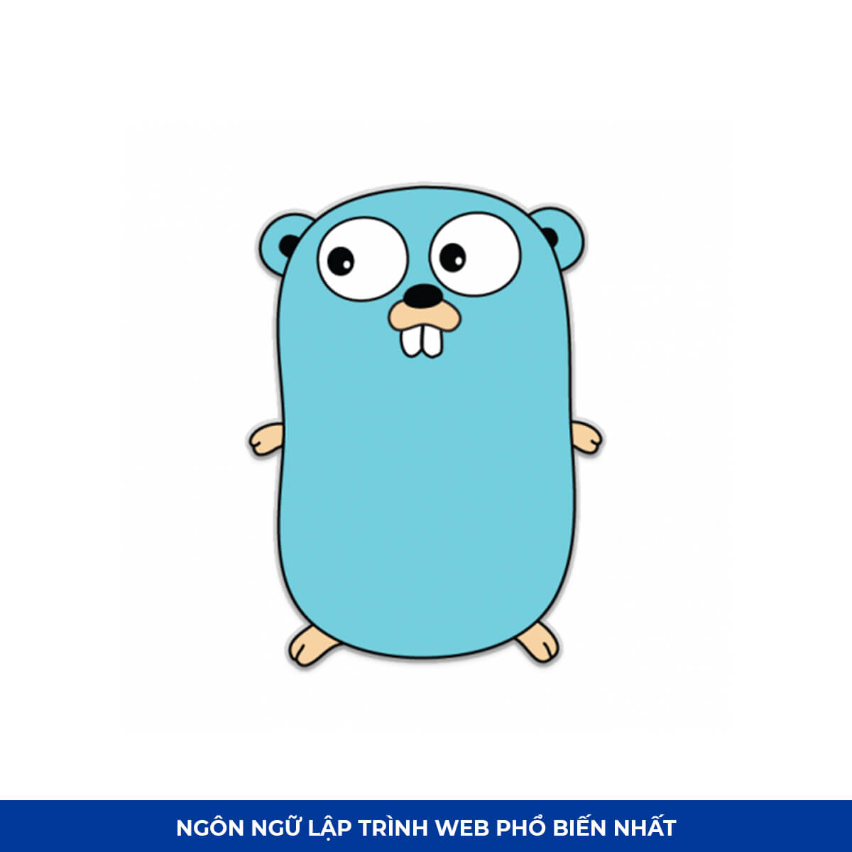 Top Ngôn ngữ lập trình web #7: Go