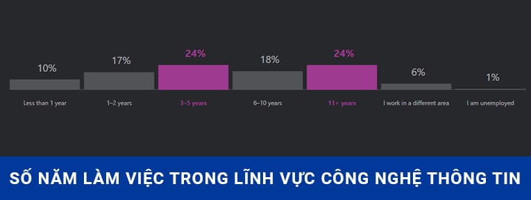 Số năm làm việc trong lĩnh vực công nghệ thông tin