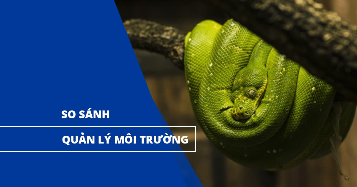 So sánh Khả năng quản lý môi trường của PHP và Python