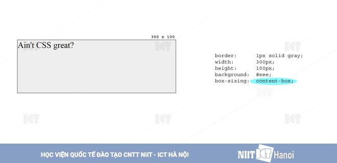 tim-hieu-ban-chat-css-box-model-2