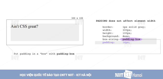 tim-hieu-ban-chat-css-box-model-4
