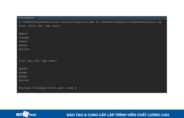 Ví dụ về cập nhật list trong Python