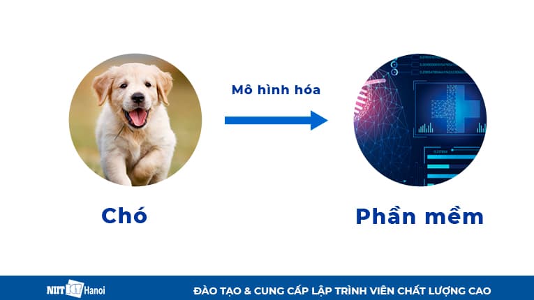 Mô hình hóa thực thể vào phần mềm