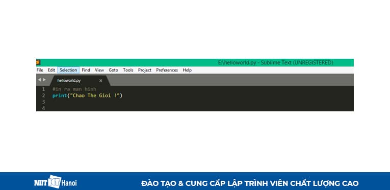 Viết hàm Print trong Python